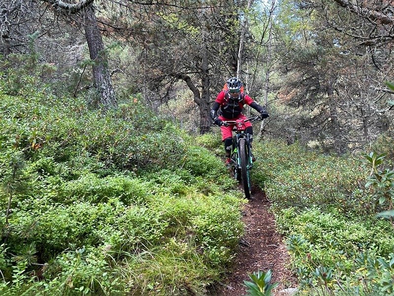 biker-forest-trail