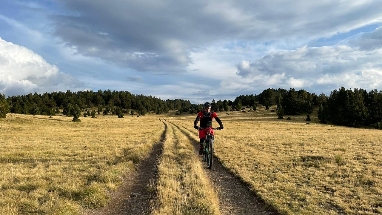biker-track-forest-clearing