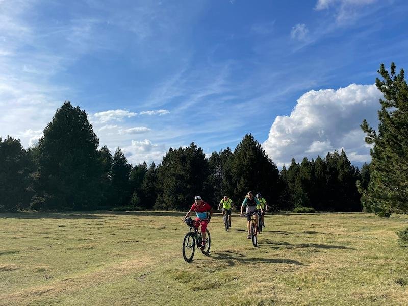group-forest-clearing