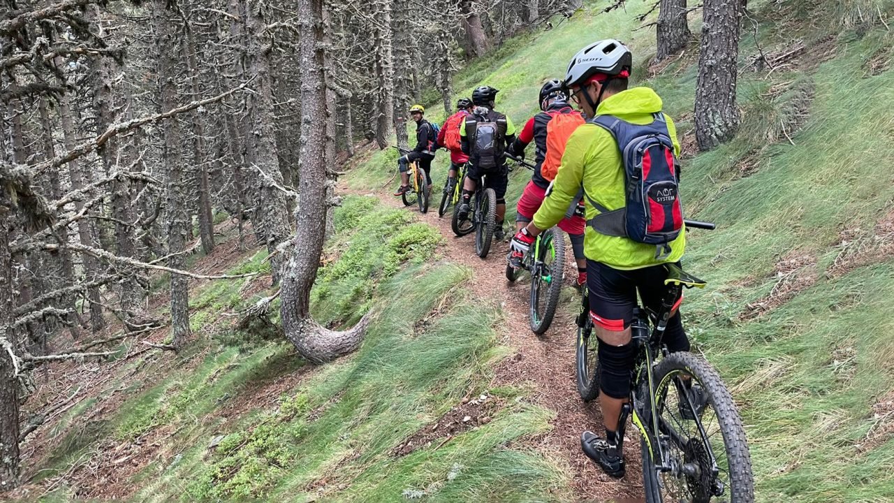 group-forest-trail