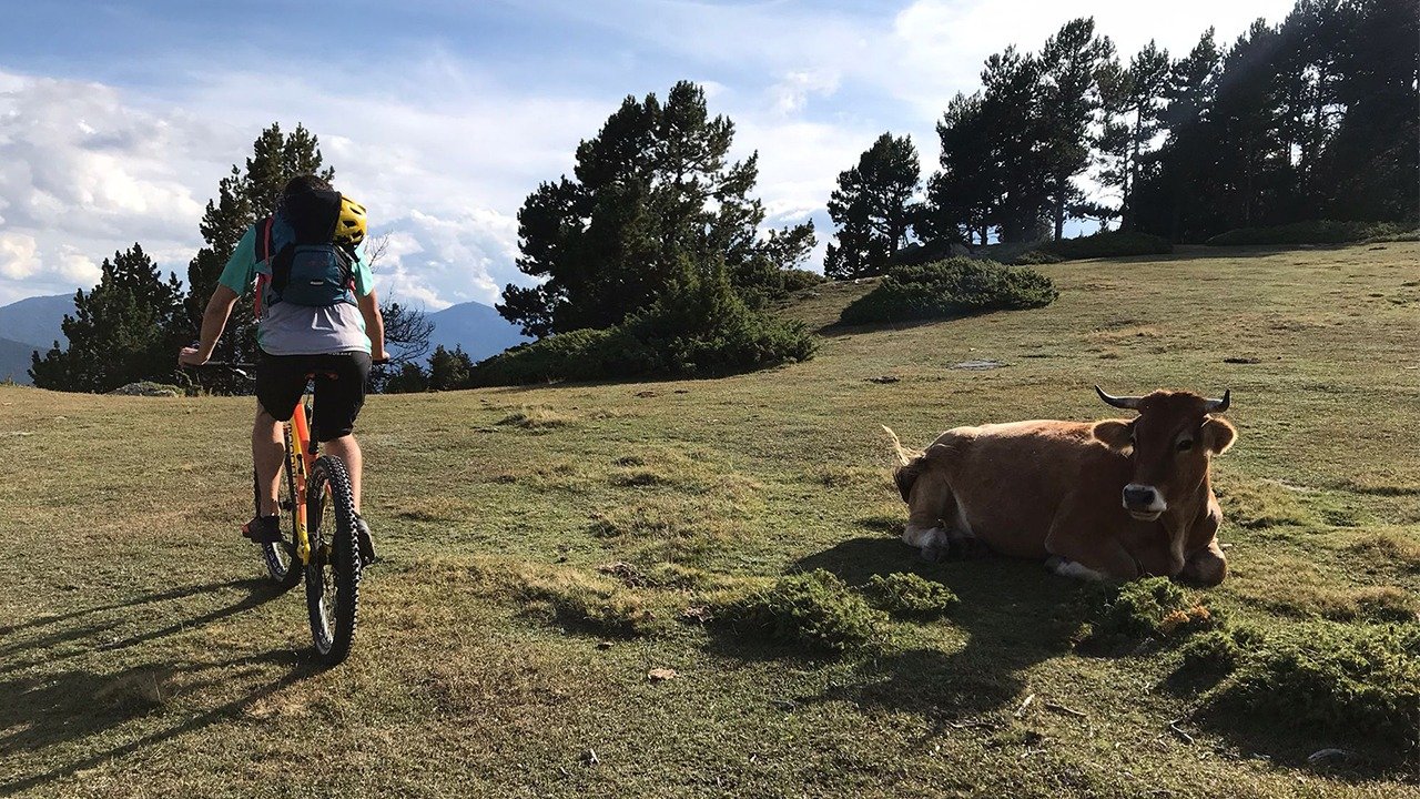 local-and-rider-sharing-the-peace