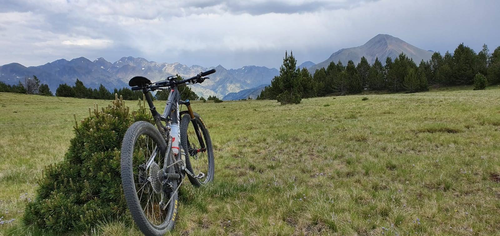 mountainbike pallars