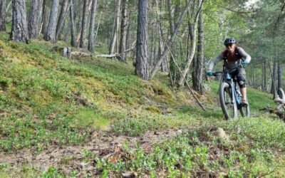 The Top 10 Mountain Biking Routes in Pallars: A Complete Guide